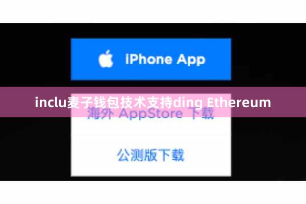 inclu麦子钱包技术支持ding Ethereum